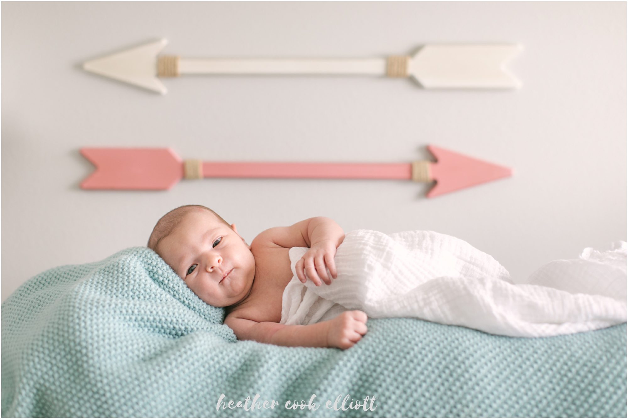 wisconsin at home family photography