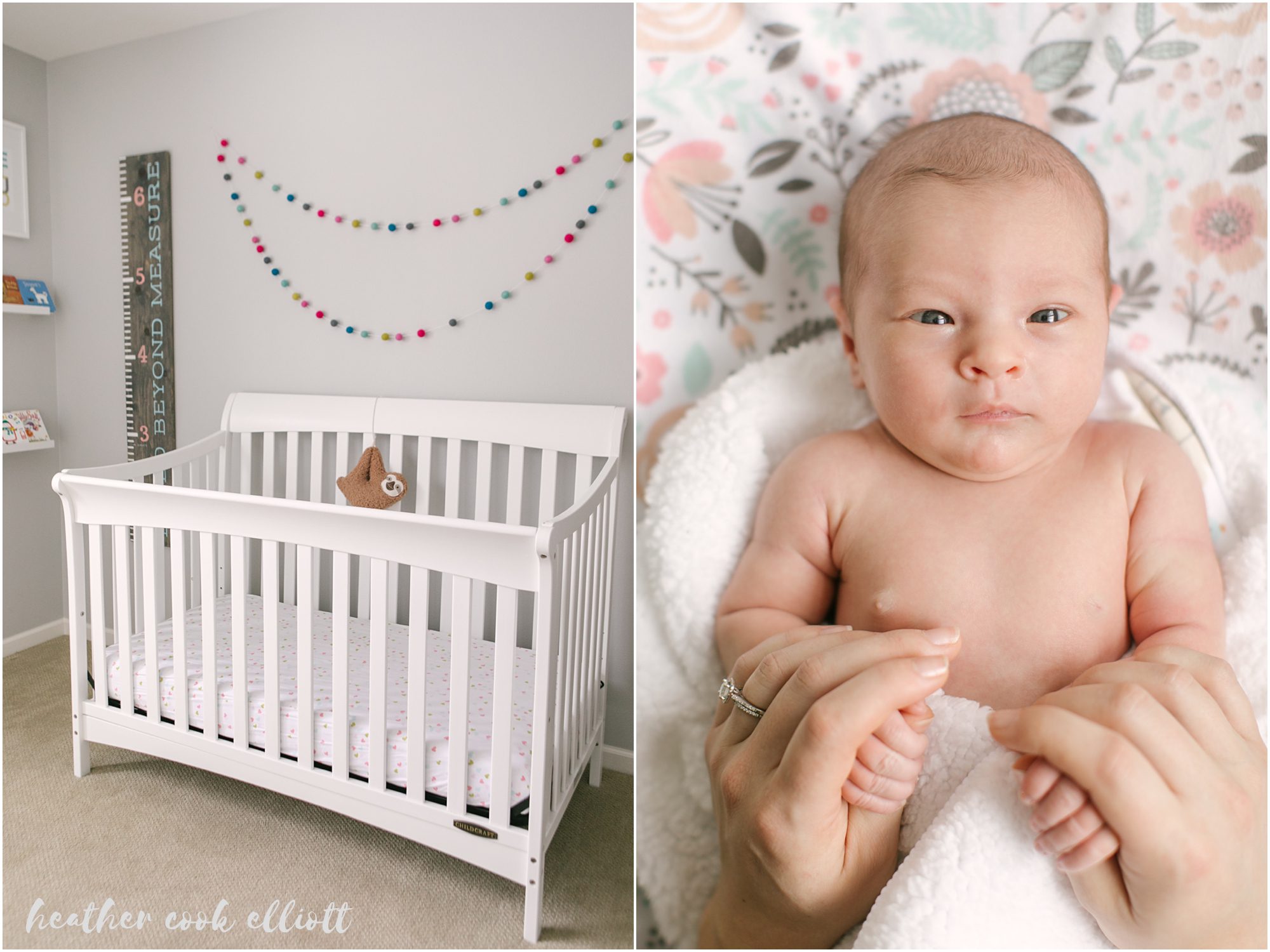 wisconsin at home family photography