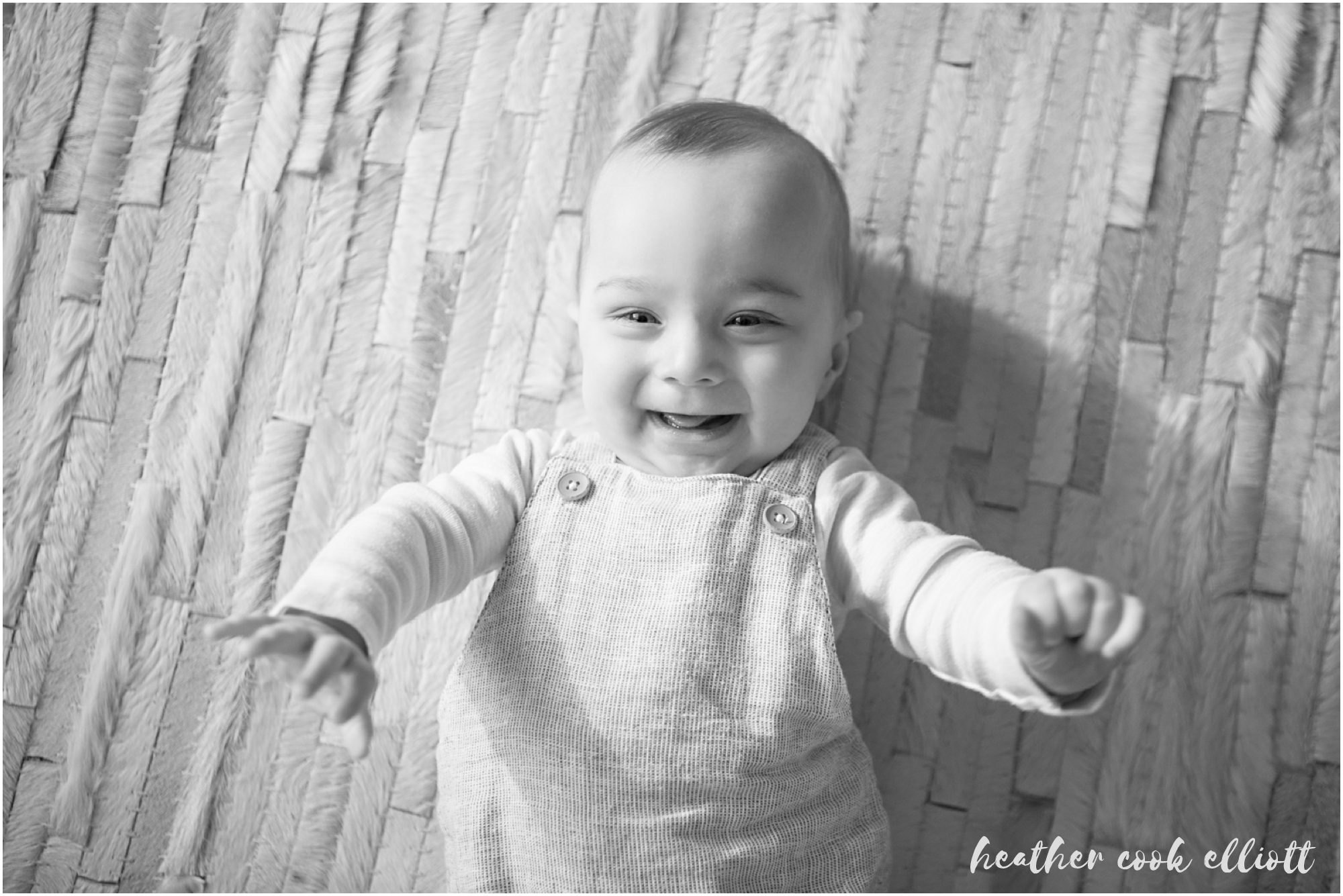 madison wisconsin natural light family photography at home