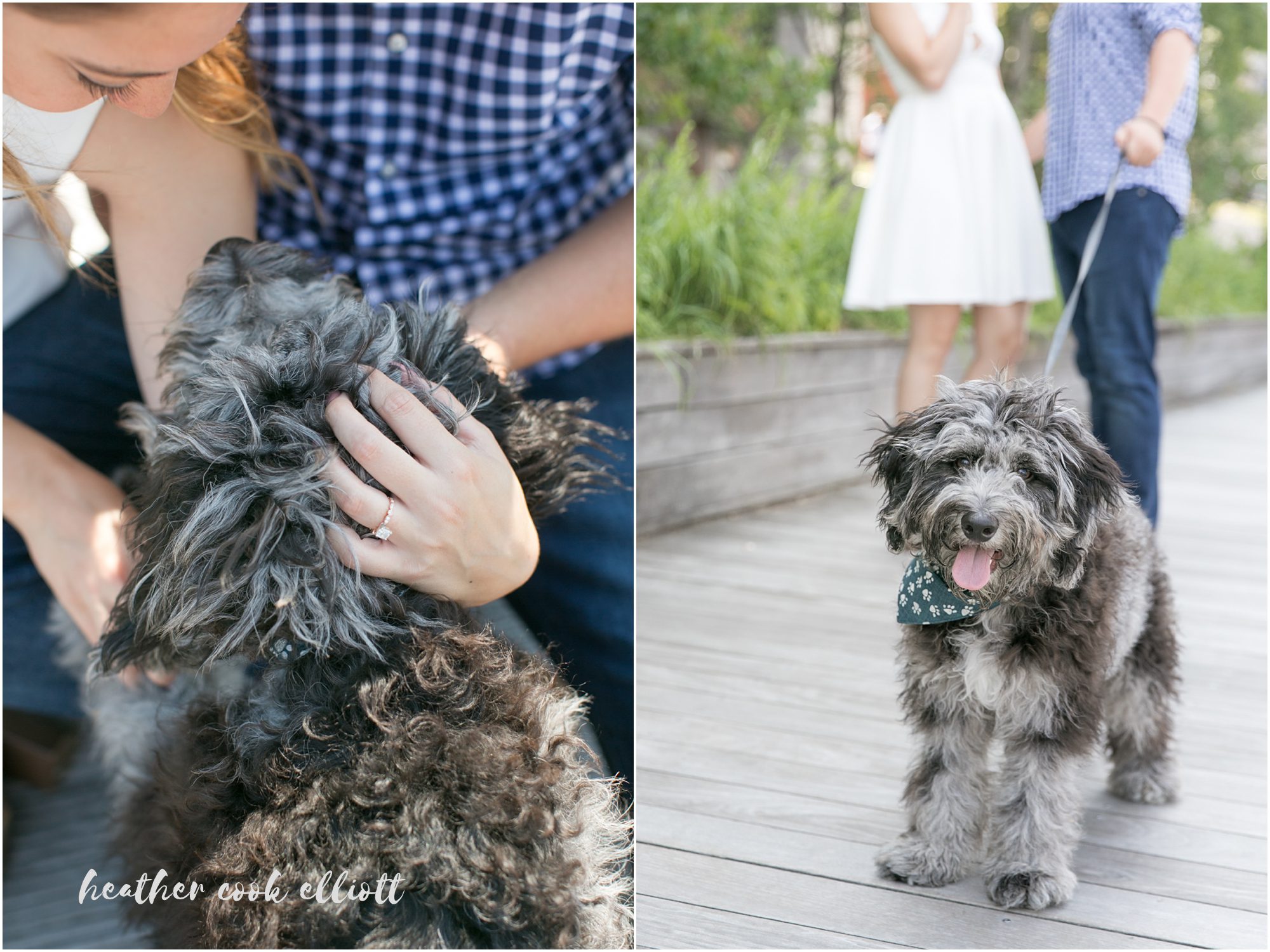 milwaukee third ward engagement photos with dog
