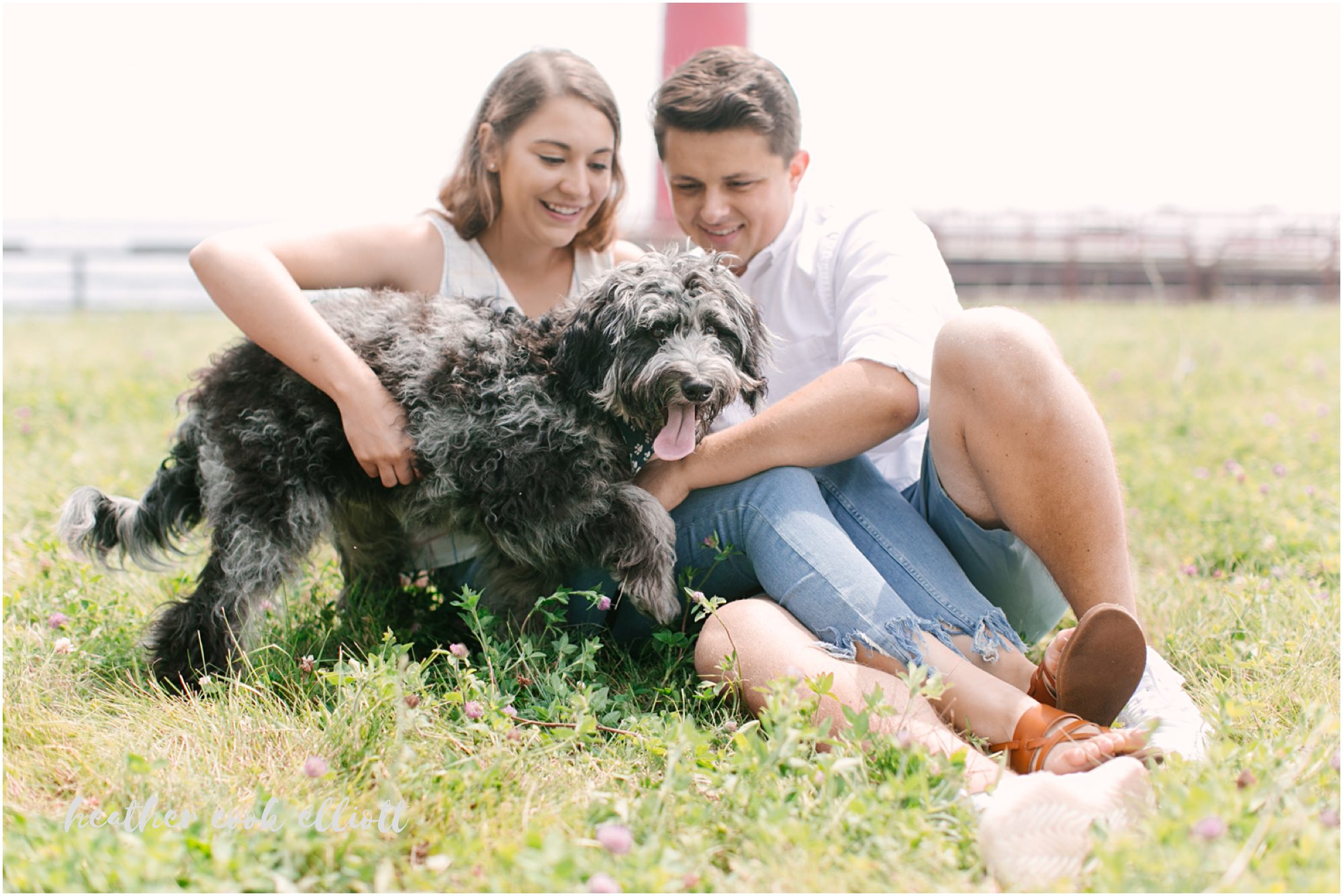 milwaukee lakefront engagement photos with dog