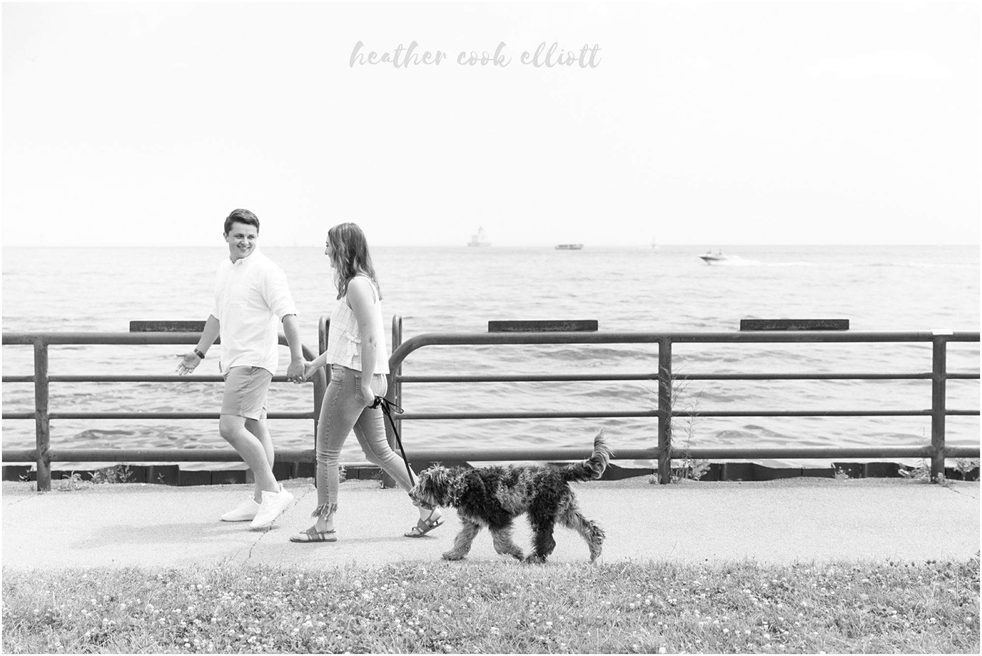 milwaukee lakefront engagement photos with dog