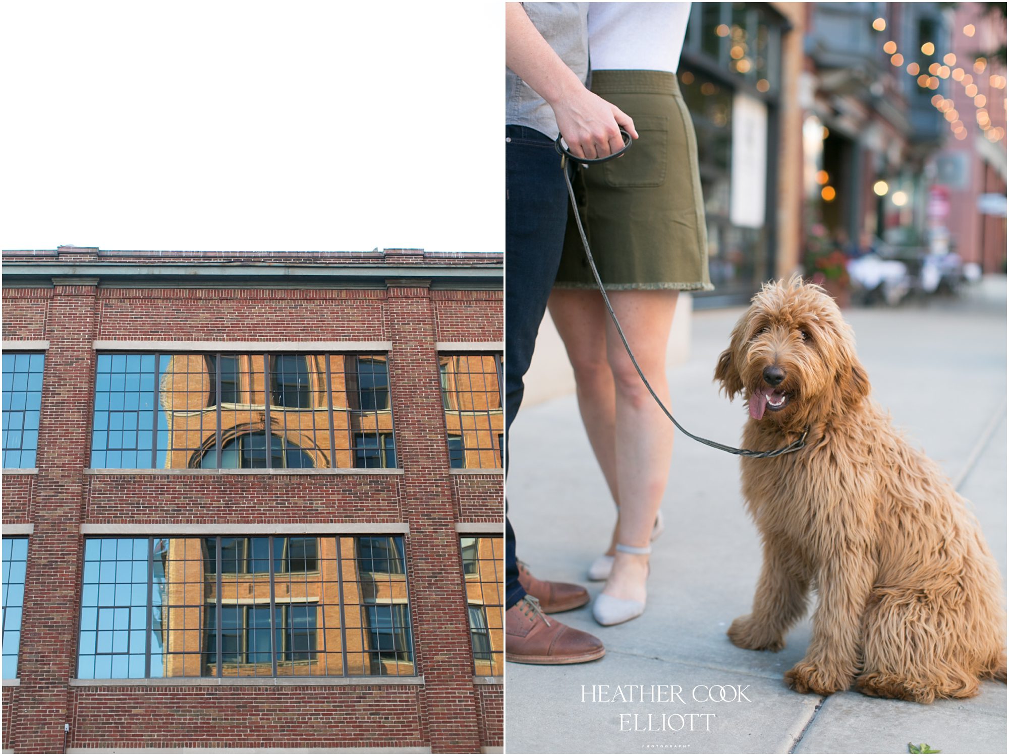 third ward engagement with a dog