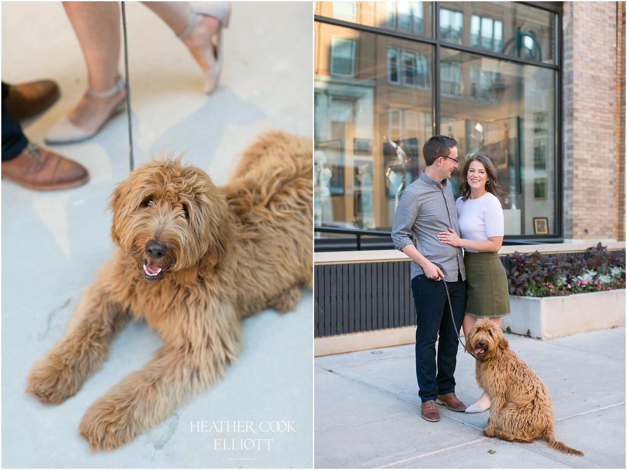 third ward engagement with a dog