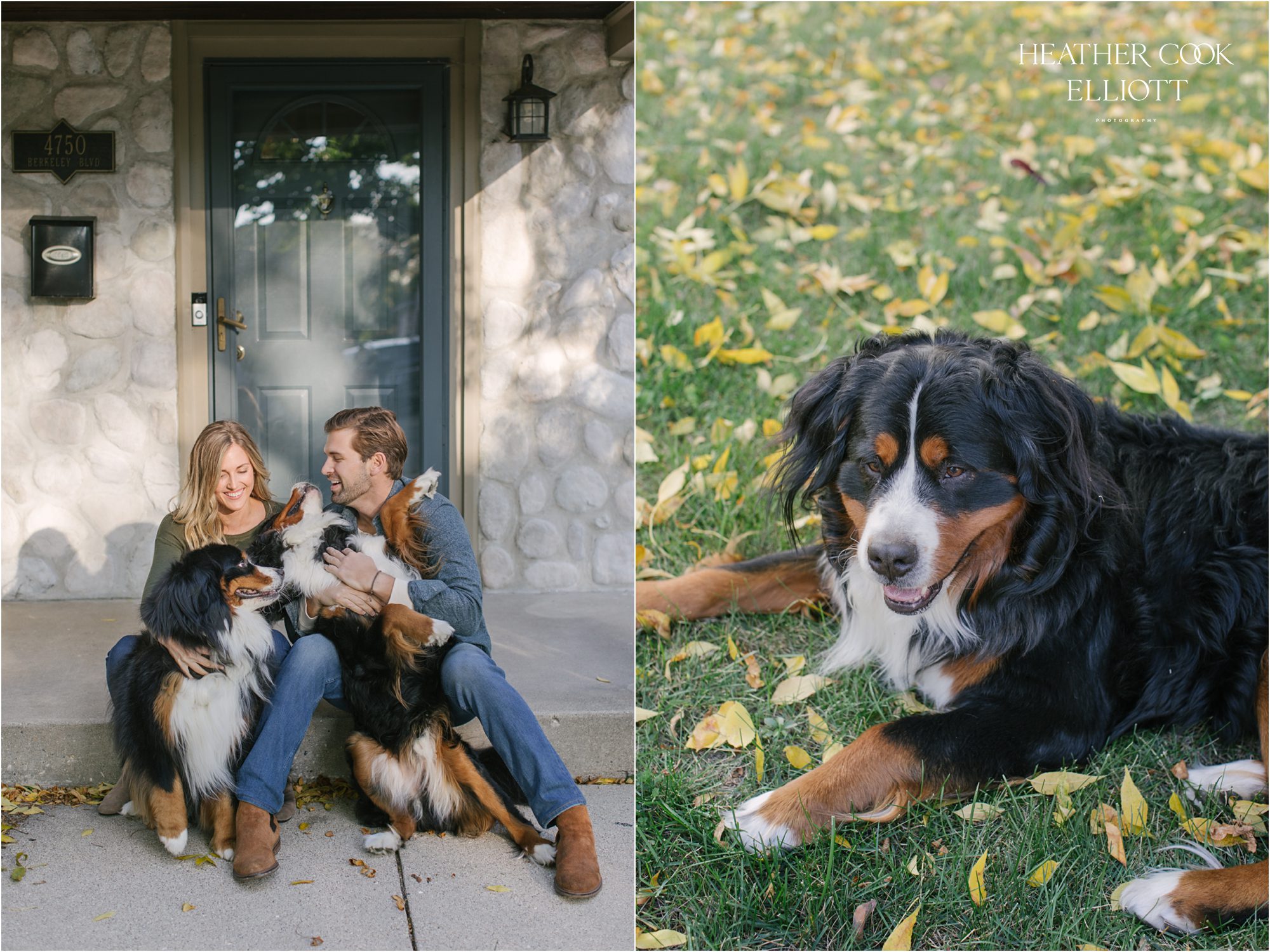 whitefish bay at home engagement session with dogs
