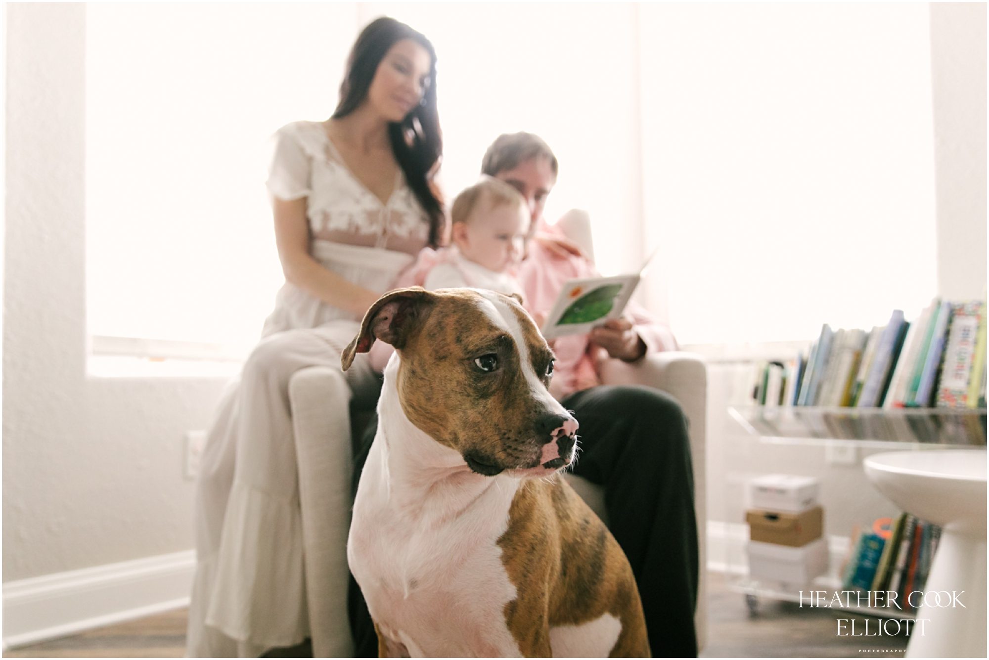 natural light 1 year old at home with dog