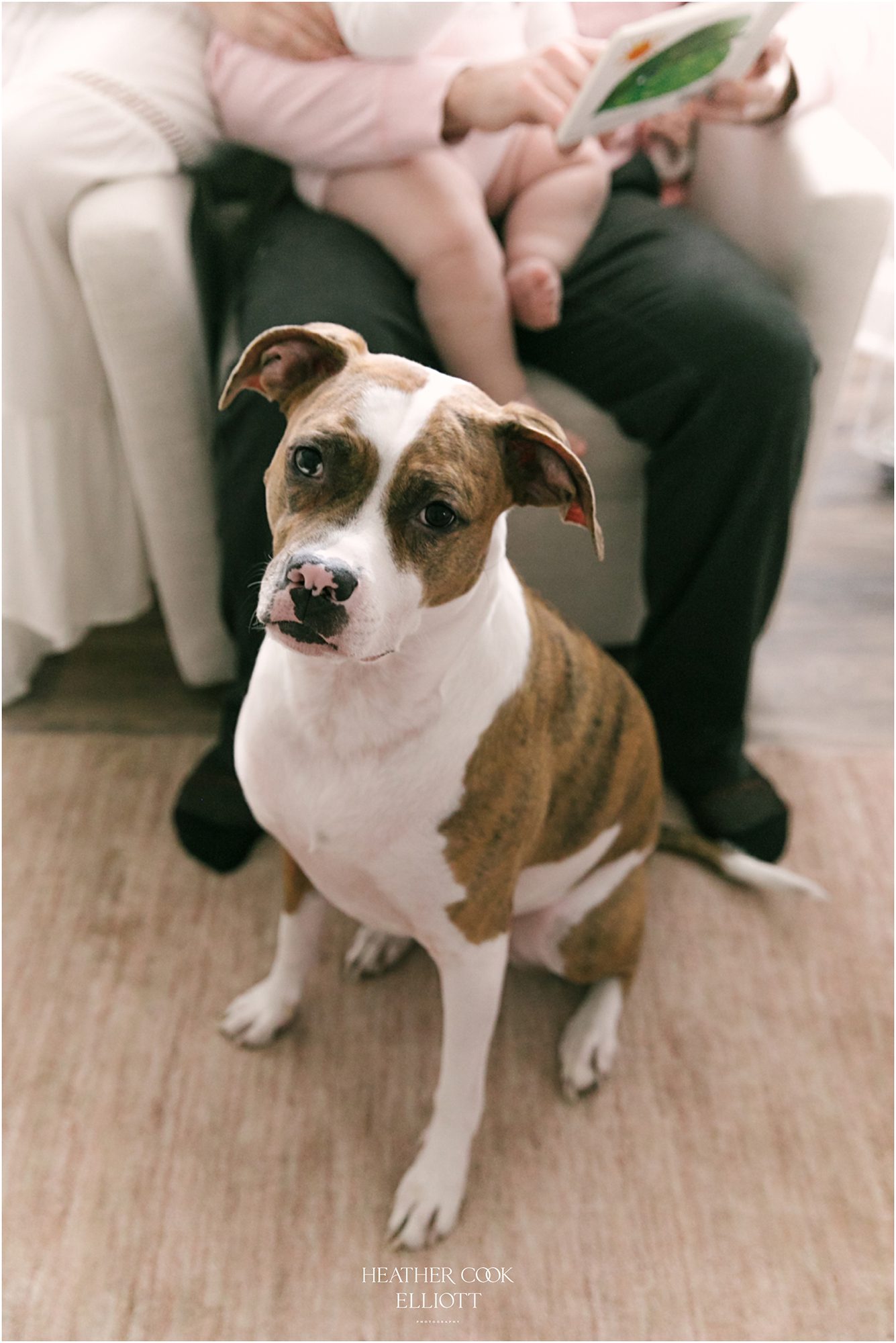 natural light 1 year old at home with dog