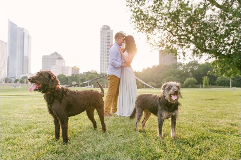 milwaukee engagement with dogs