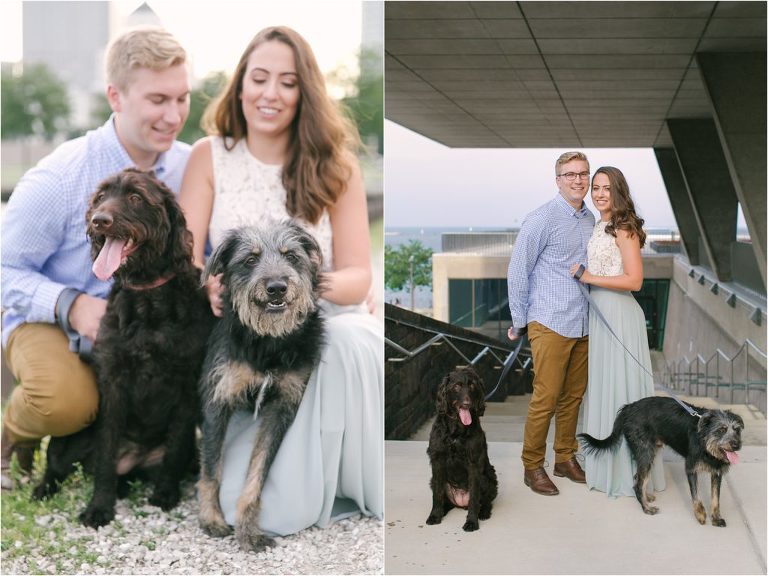 milwaukee engagement with dogs