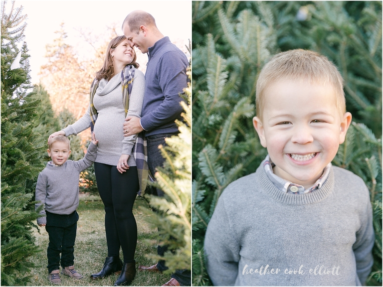 natural light milwaukee maternity and family photograph