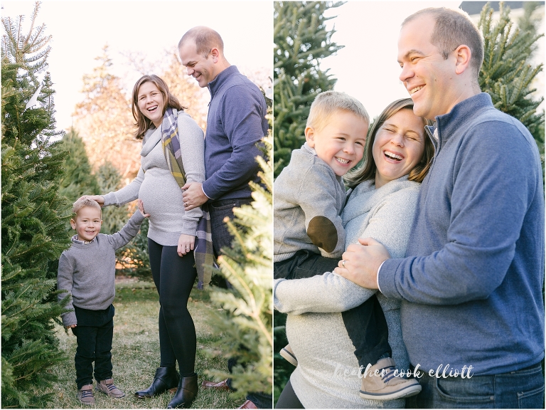 natural light milwaukee maternity and family photograph