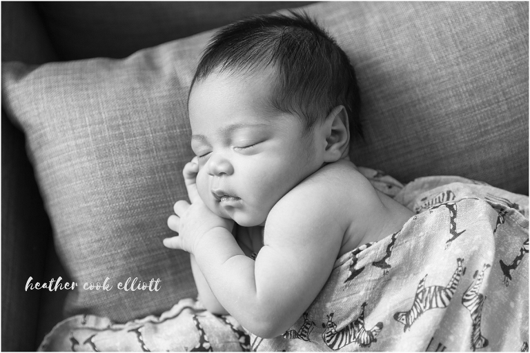 Mequon Wisconsin Newborn Photography at home in natural light