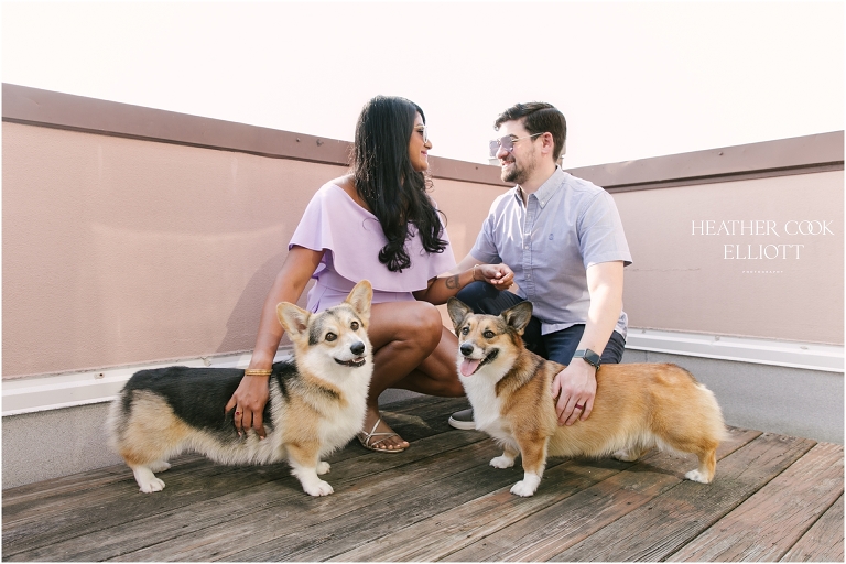 chicago engagement session with corgis