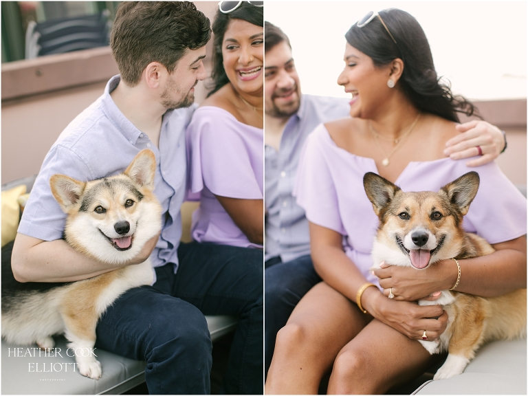 chicago engagement session with corgis