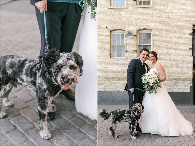 pritzlaff fall wedding reception wedding portraits with dog