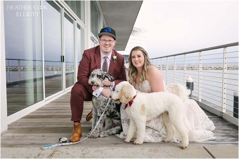 discovery world april wedding with dogs