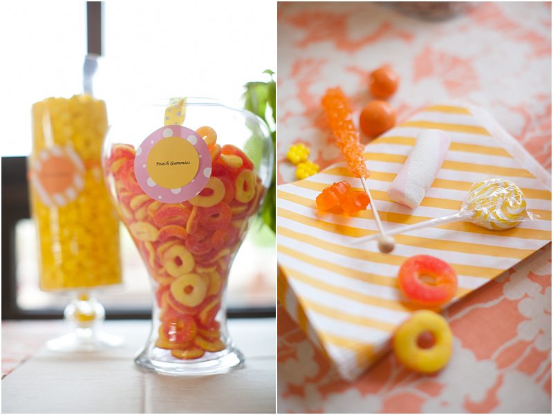 lake geneva wedding photographer_142