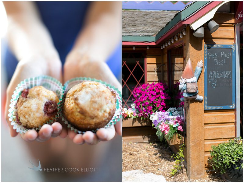 Door County Wedding Photographer_002