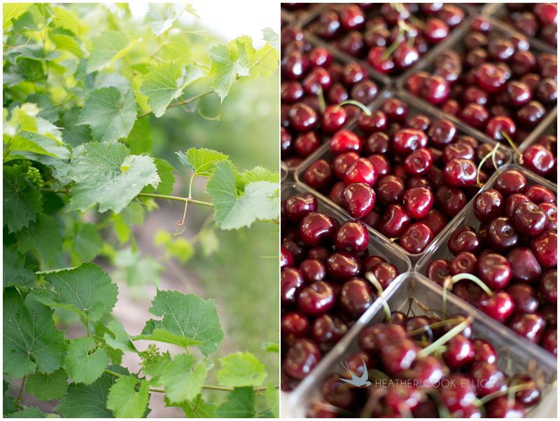 Door County Wedding Photographer_004