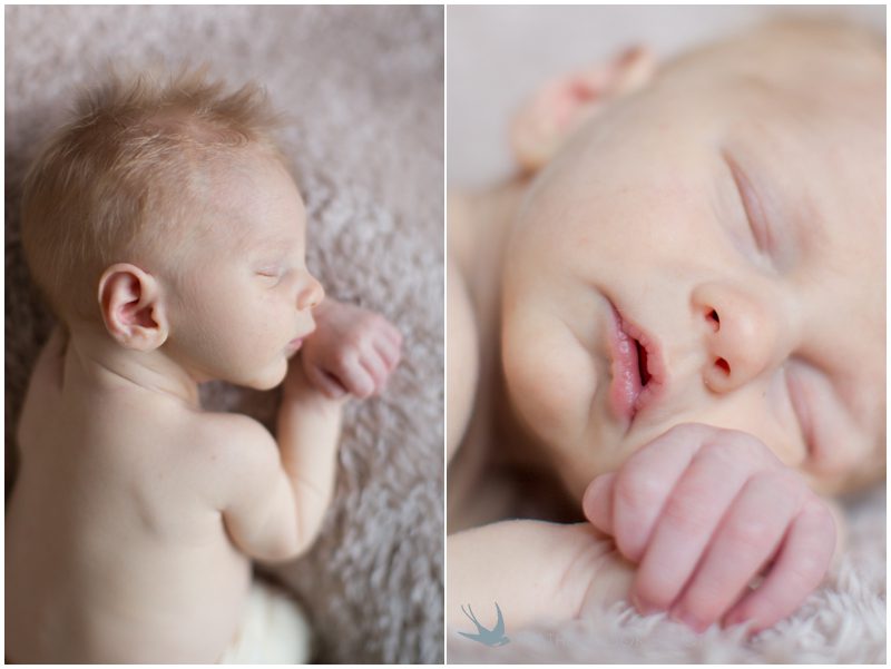 milwaukee family photographer_023