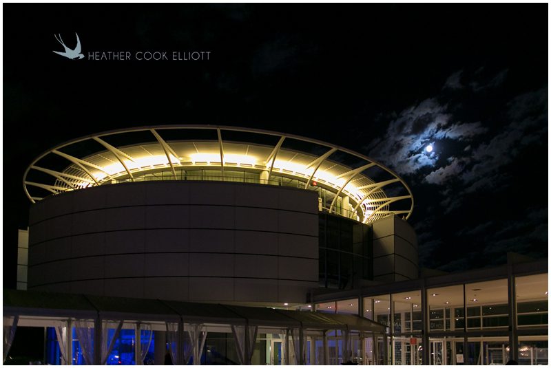 pier wisconsin wedding photographer_195