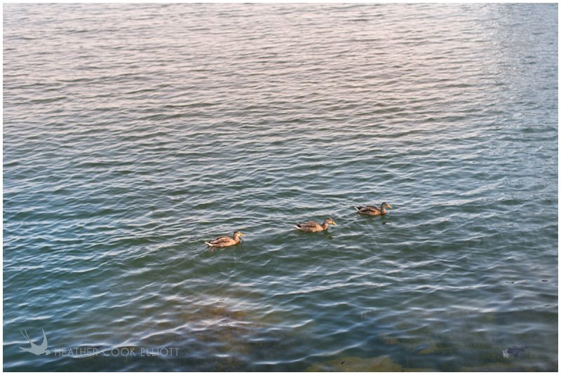 wisconsin wedding photographer_020