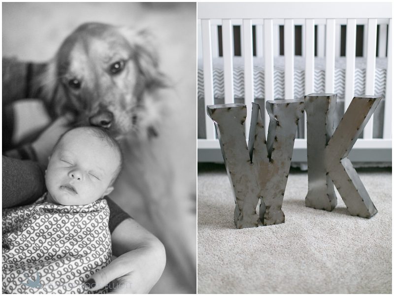 Milwaukee Newborn Photography_010