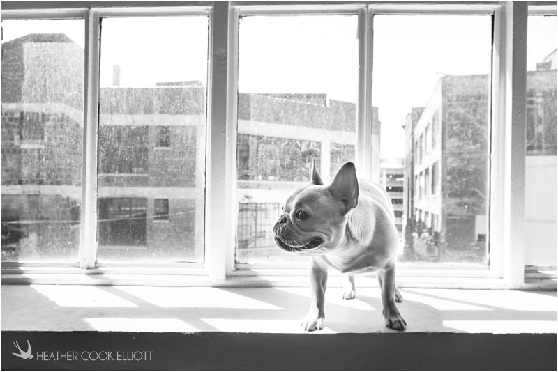 wisconsin wedding photographer_002