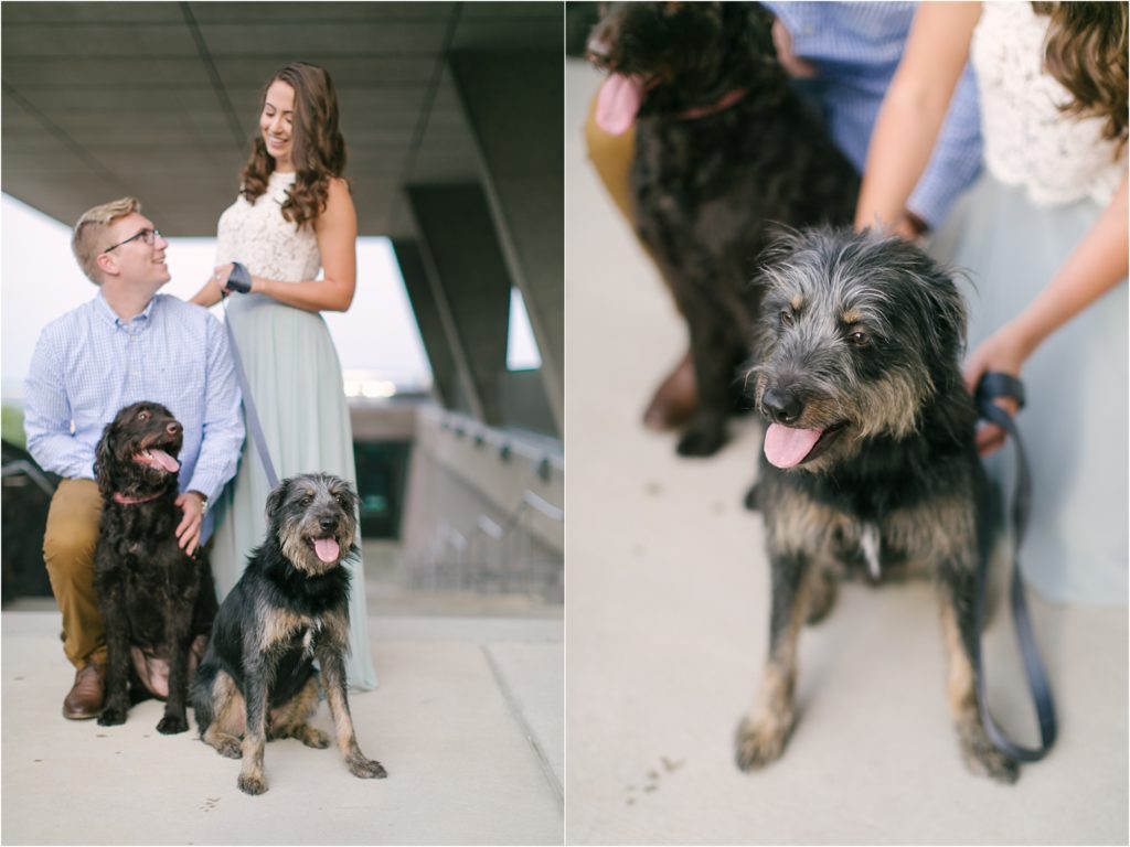 milwaukee engagement with dogs