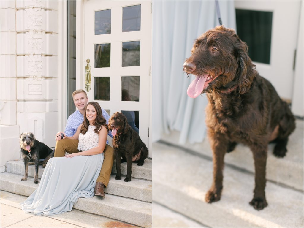 milwaukee engagement with dogs