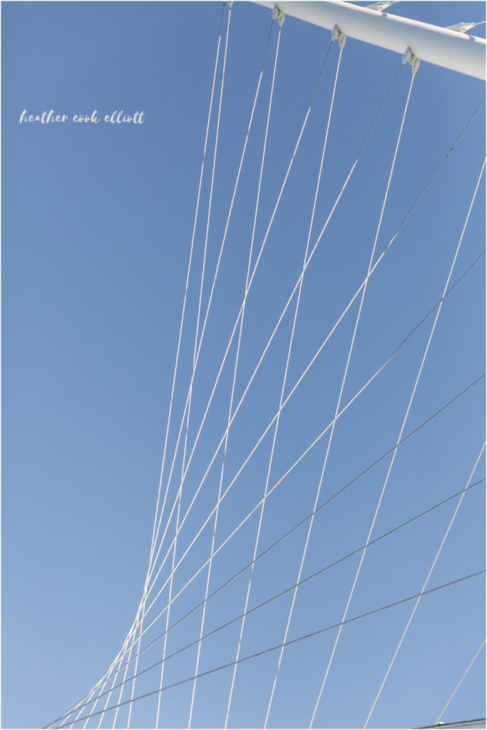 modern milwaukee art museum wedding in fall