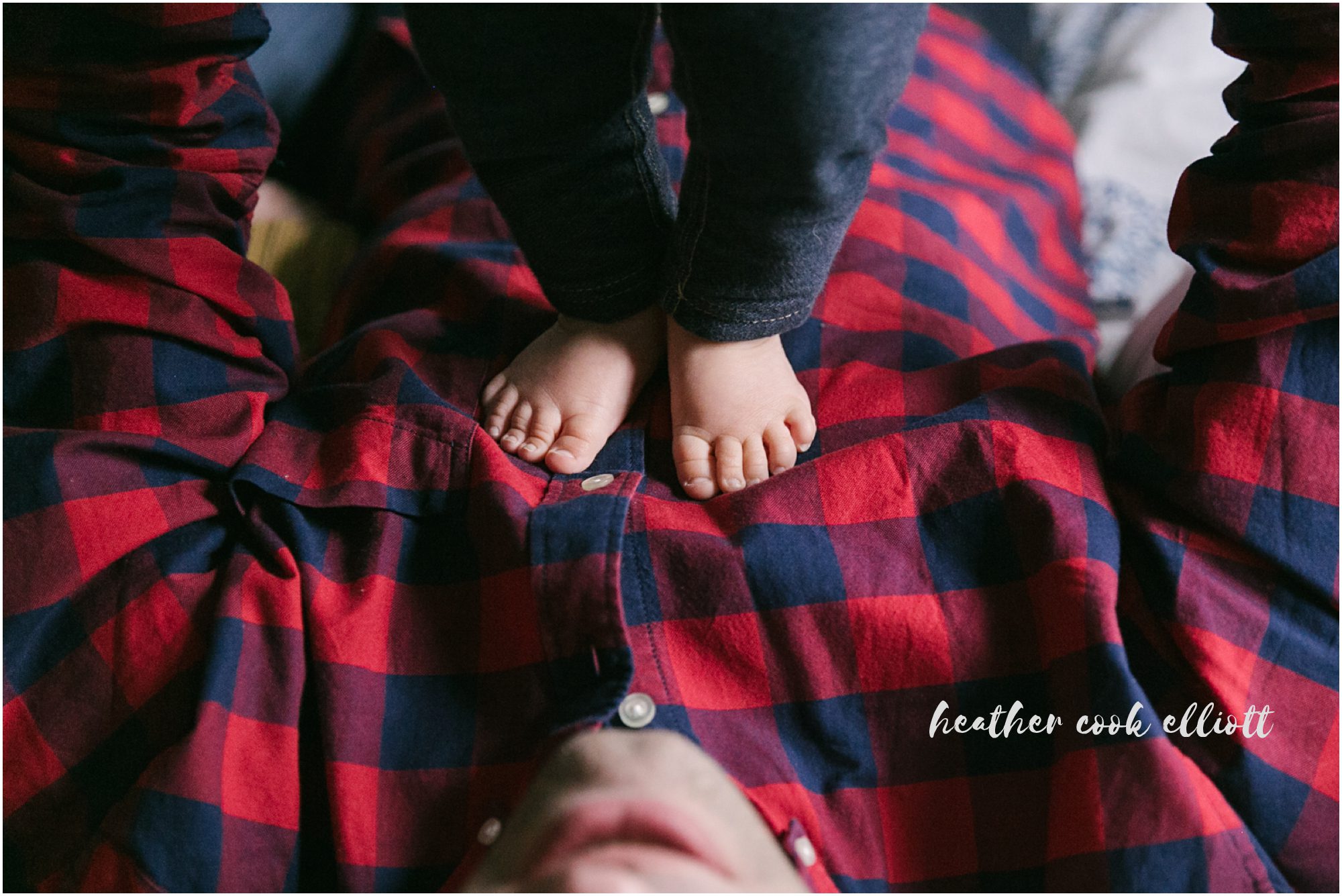 natural light wauwatosa and wisconsin family photographer