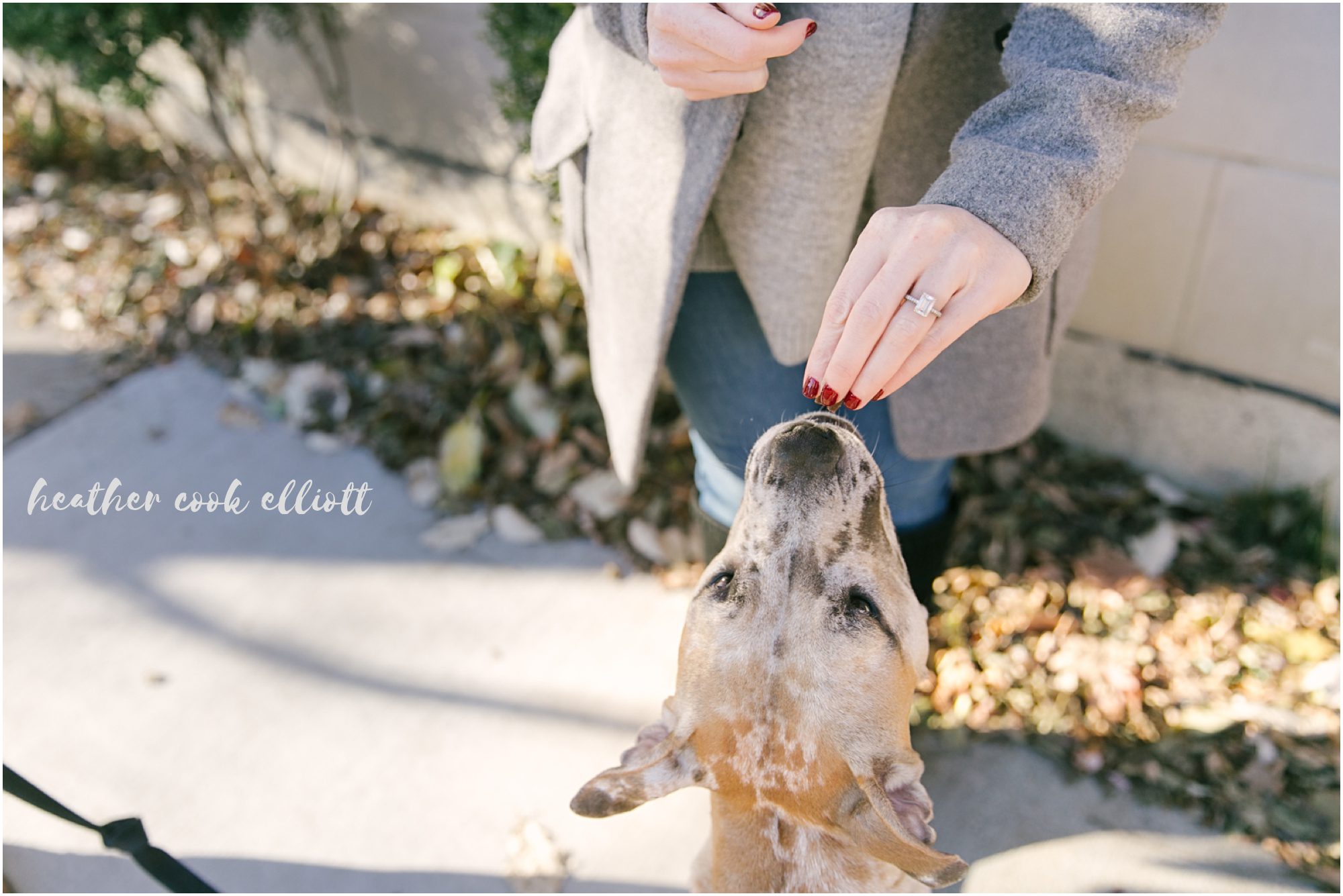 chicago natural light fall engagement photos in the city