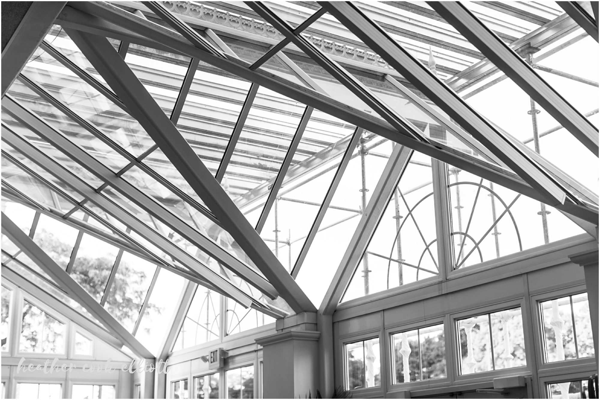 bacchus wedding photography bartolotta