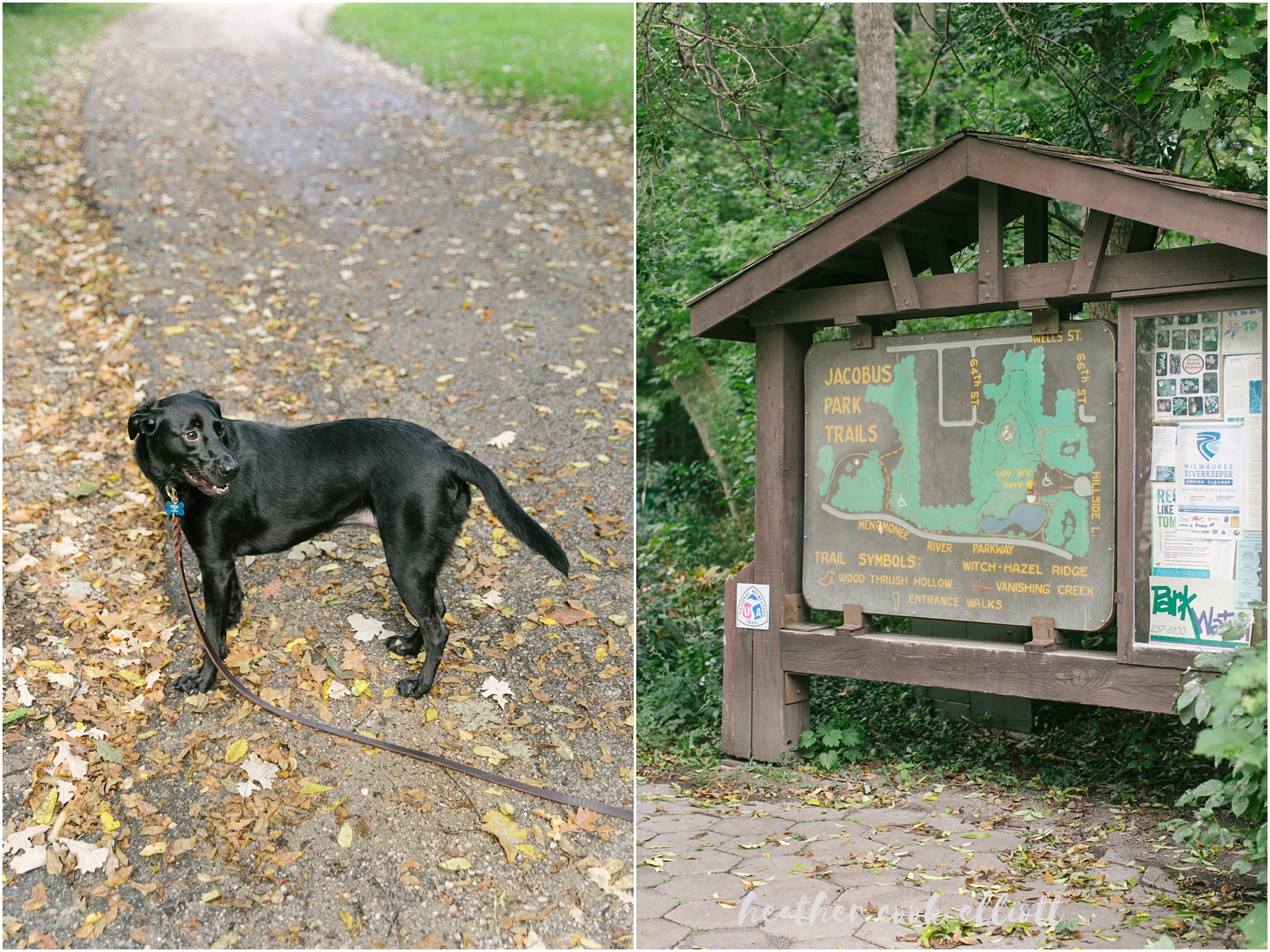 wauwatosa engagement session with dog