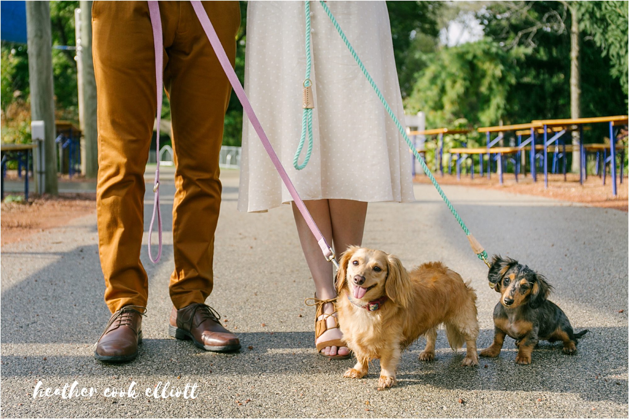 Tosa Fall engagement session with dogs