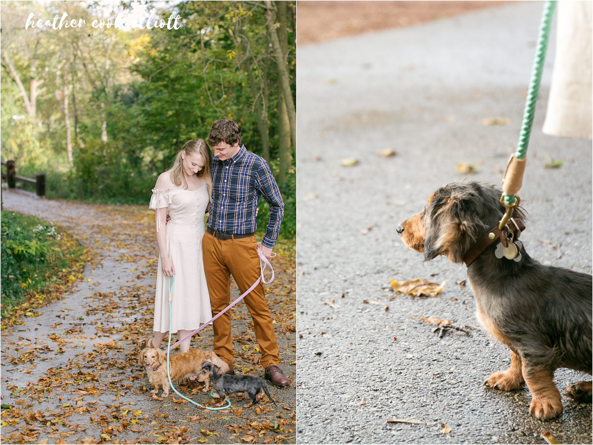 Tosa Fall engagement session with dogs