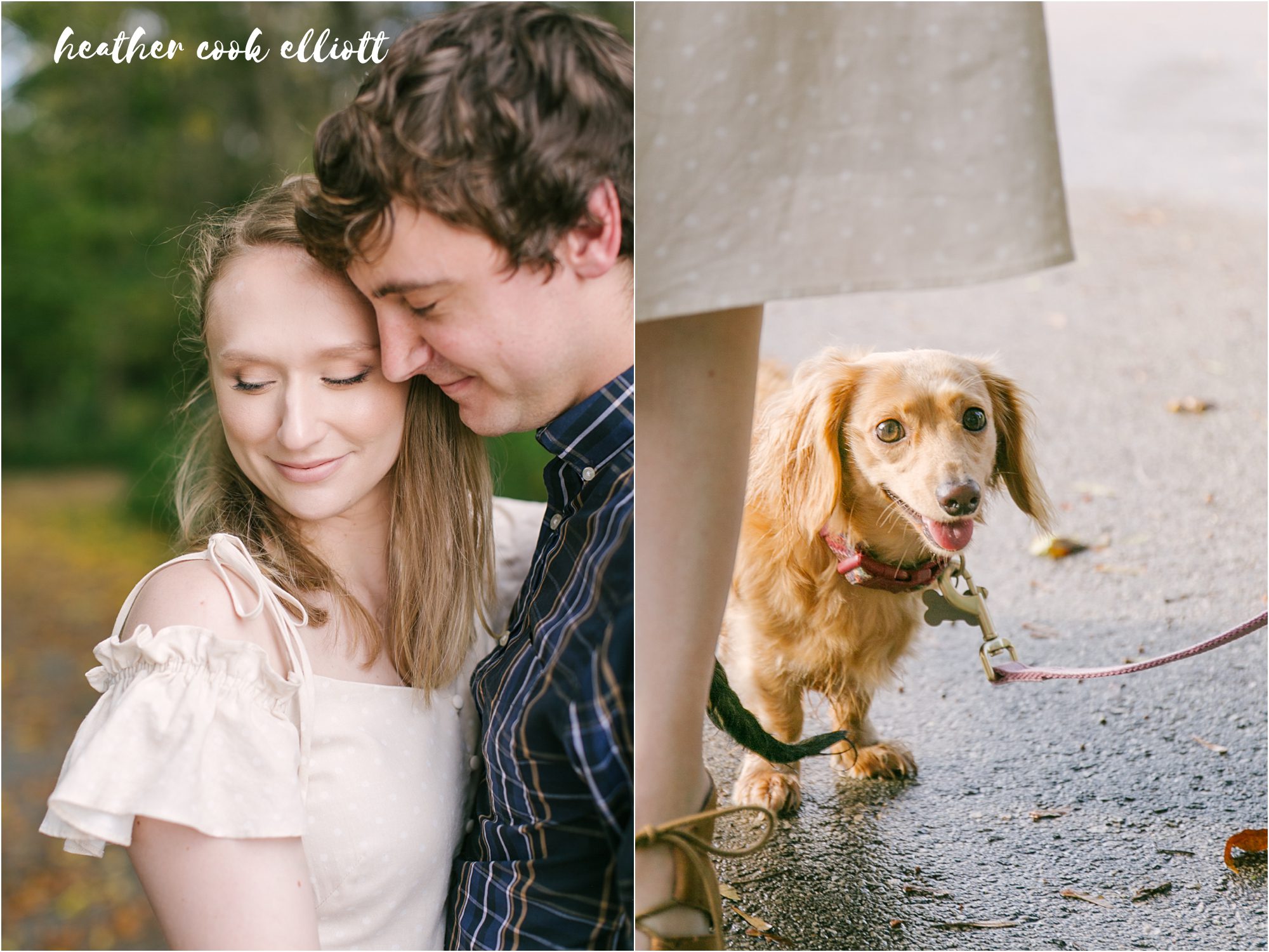 Tosa Fall engagement session with dogs