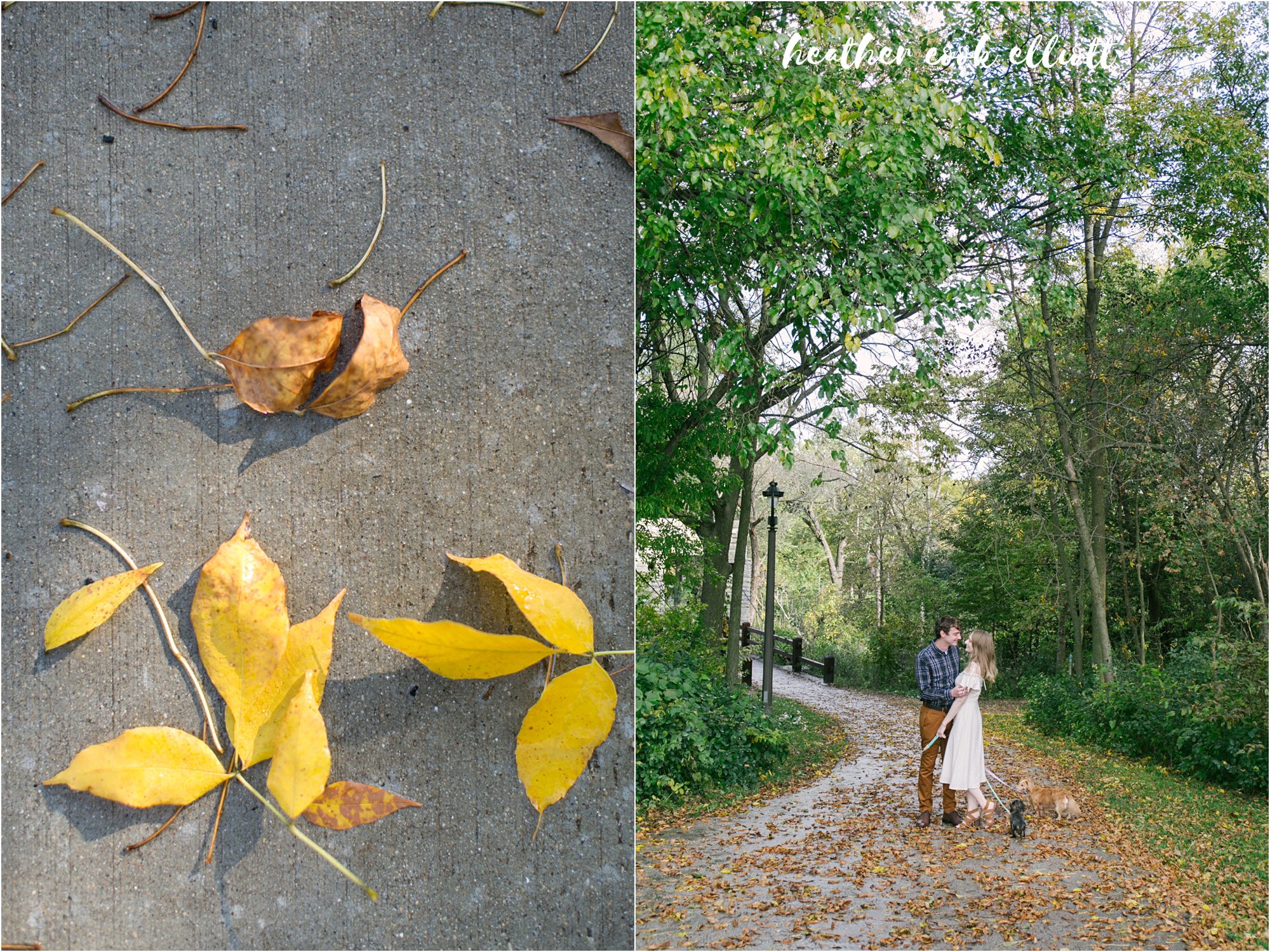 Tosa Fall engagement session with dogs