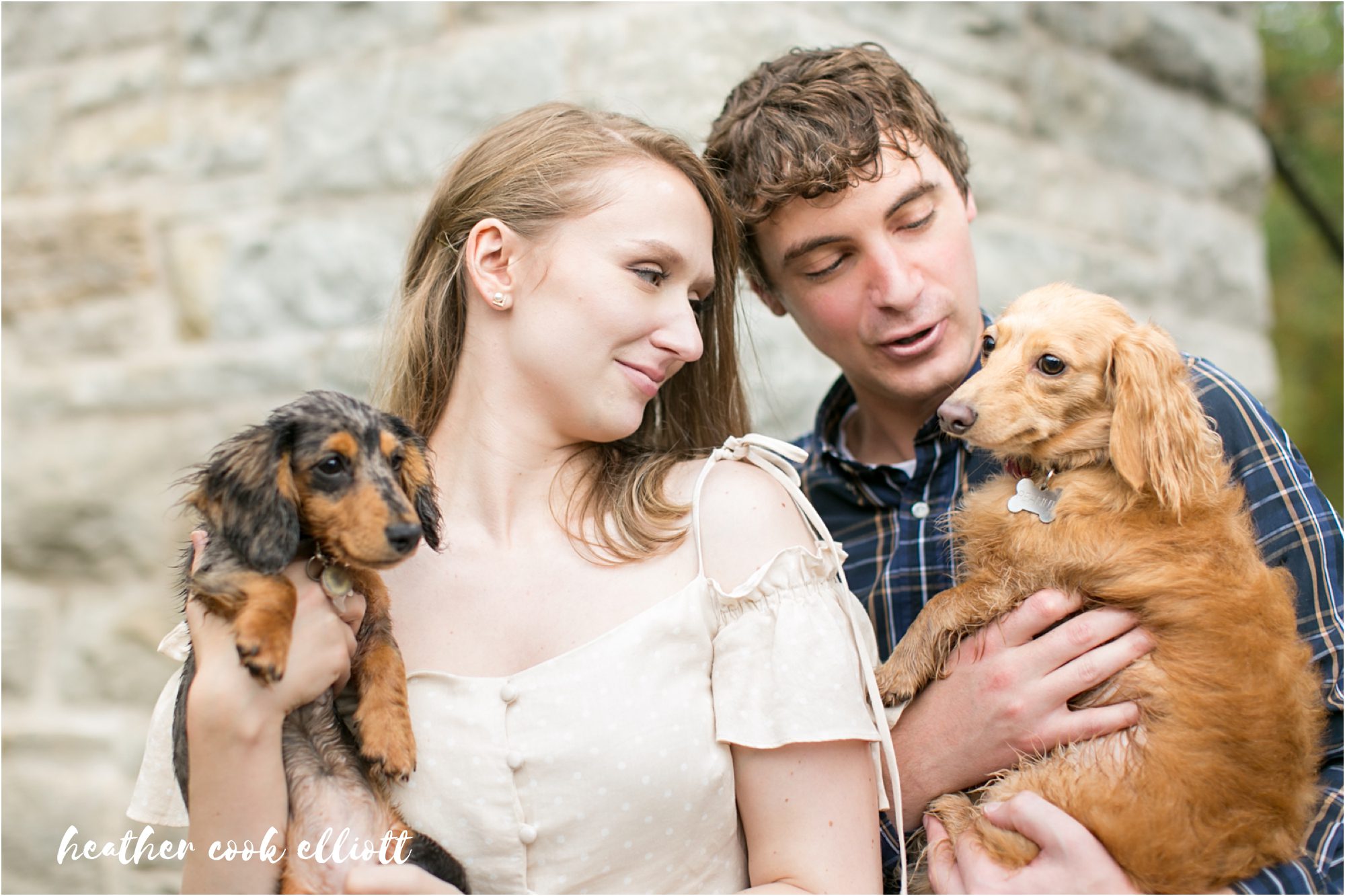 Tosa Fall engagement session with dogs