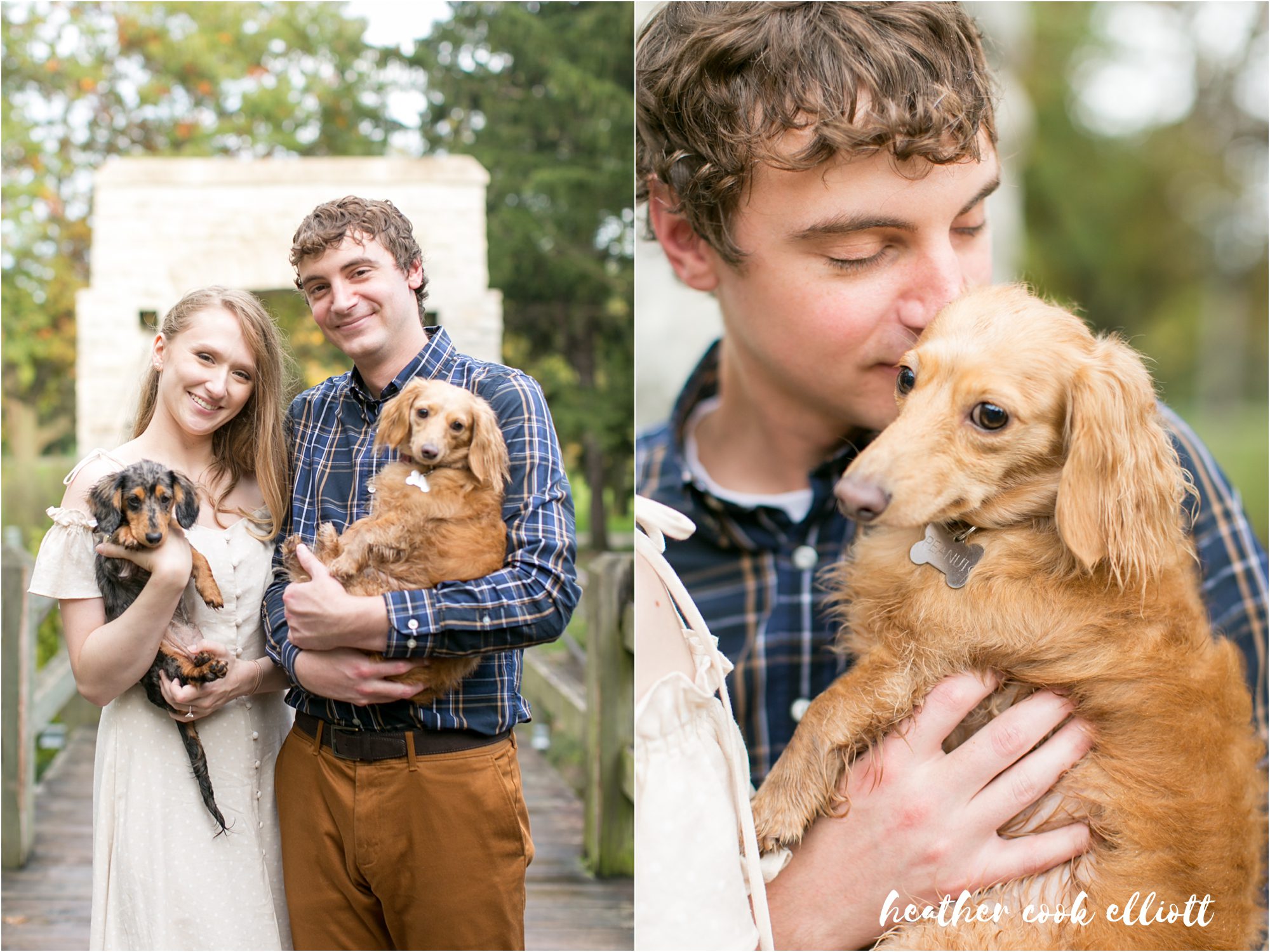 Tosa Fall engagement session with dogs