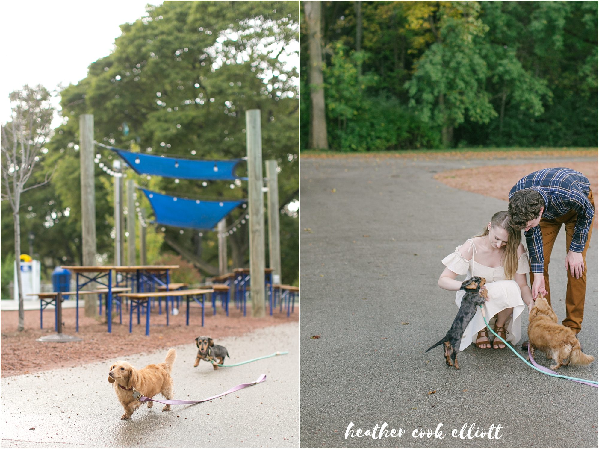 Tosa Fall engagement session with dogs