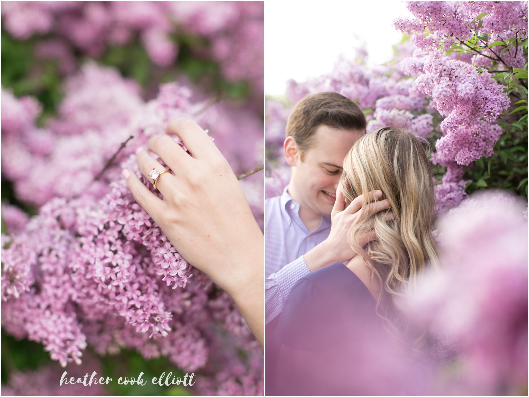 lavender engagement photos