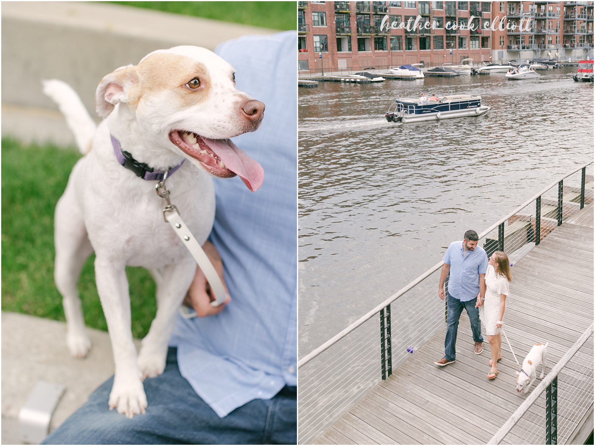 third ward engagement with dog