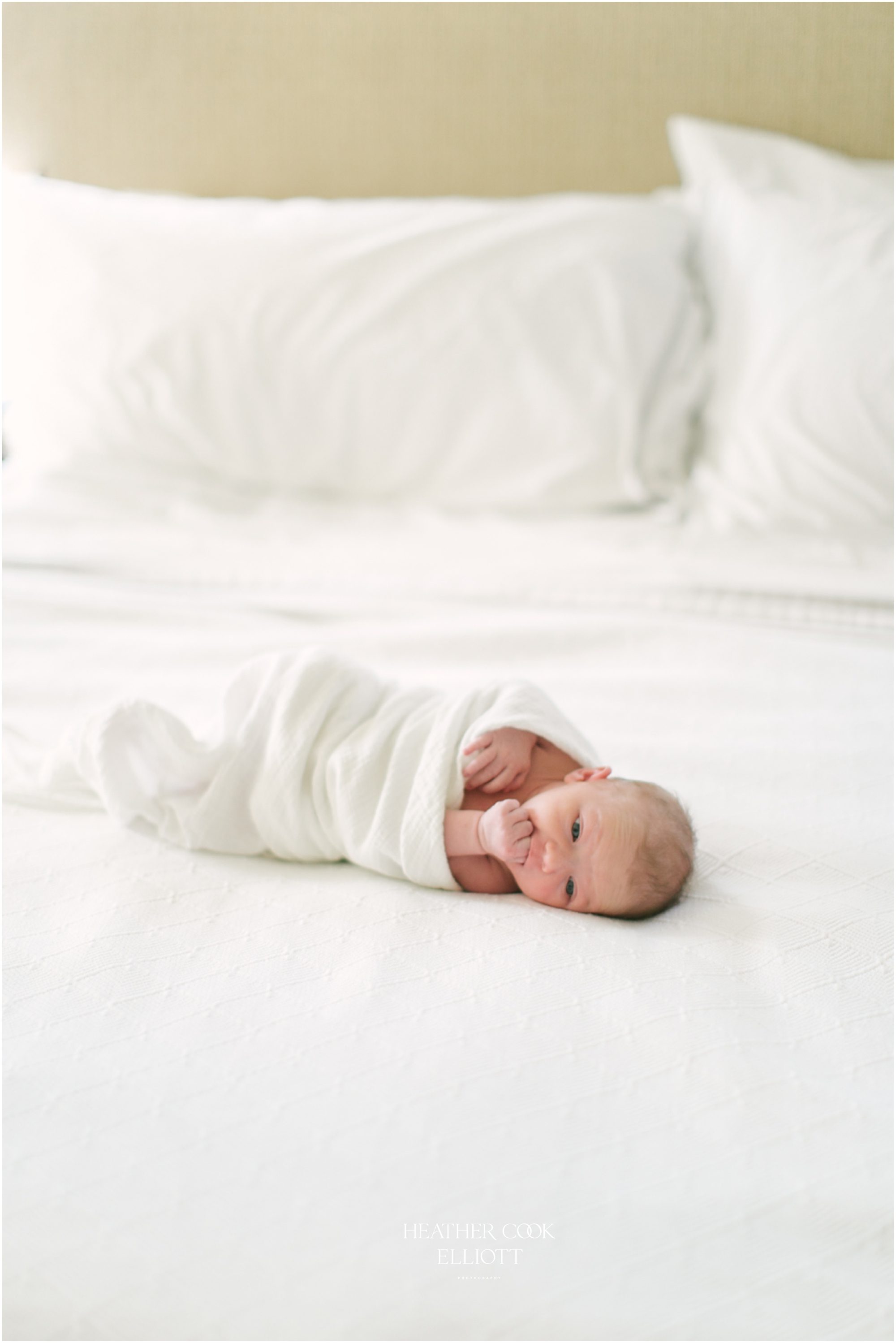 Elm Grove milwaukee newborn photograph in natural light and at home