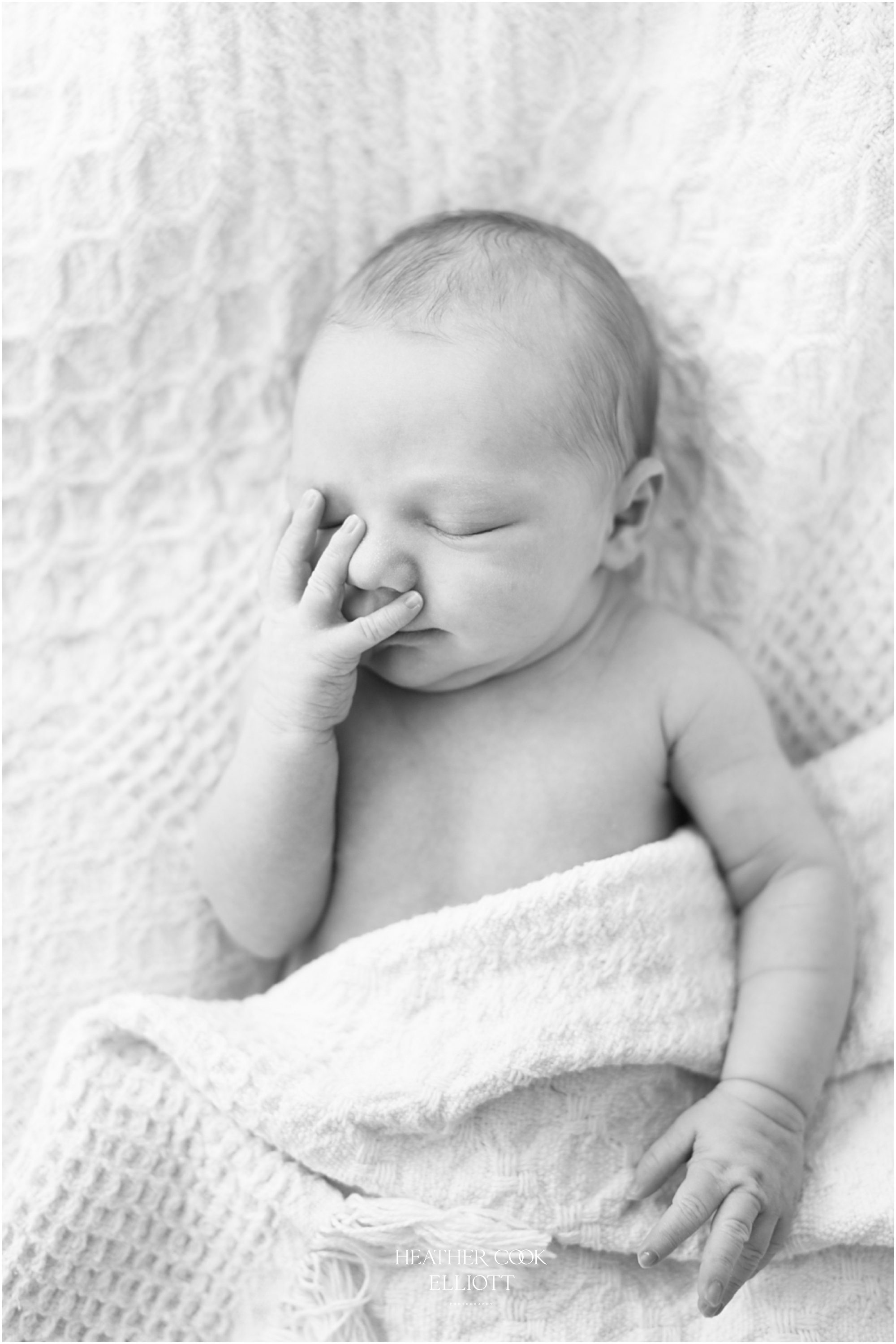 milwaukee newborn photograph in black and white natural light and at home
