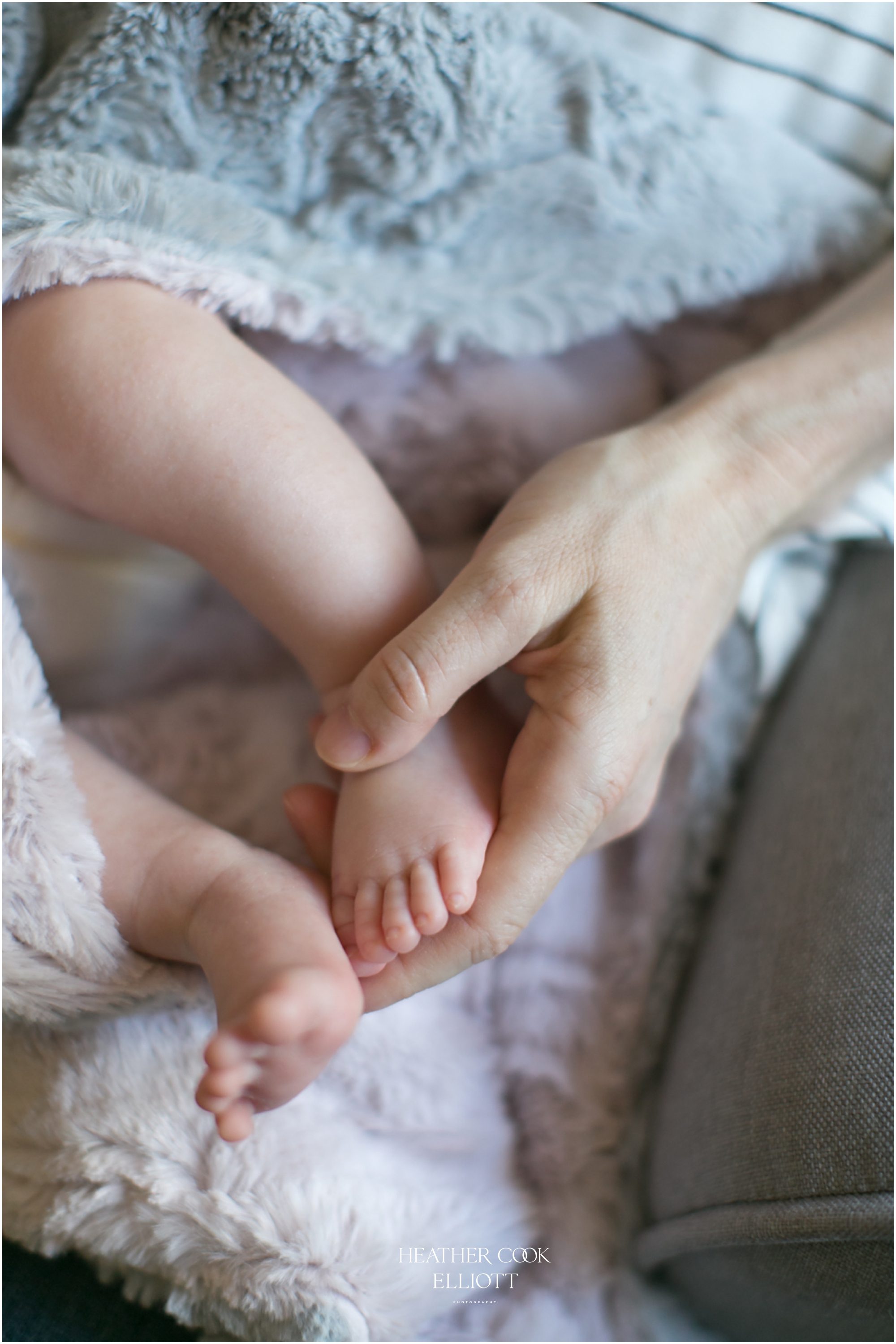 mequon natural light newborn at home