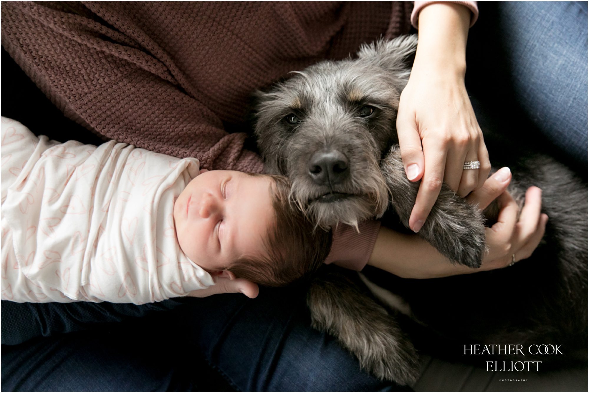 baby with dog in Milwaukee wisconsin