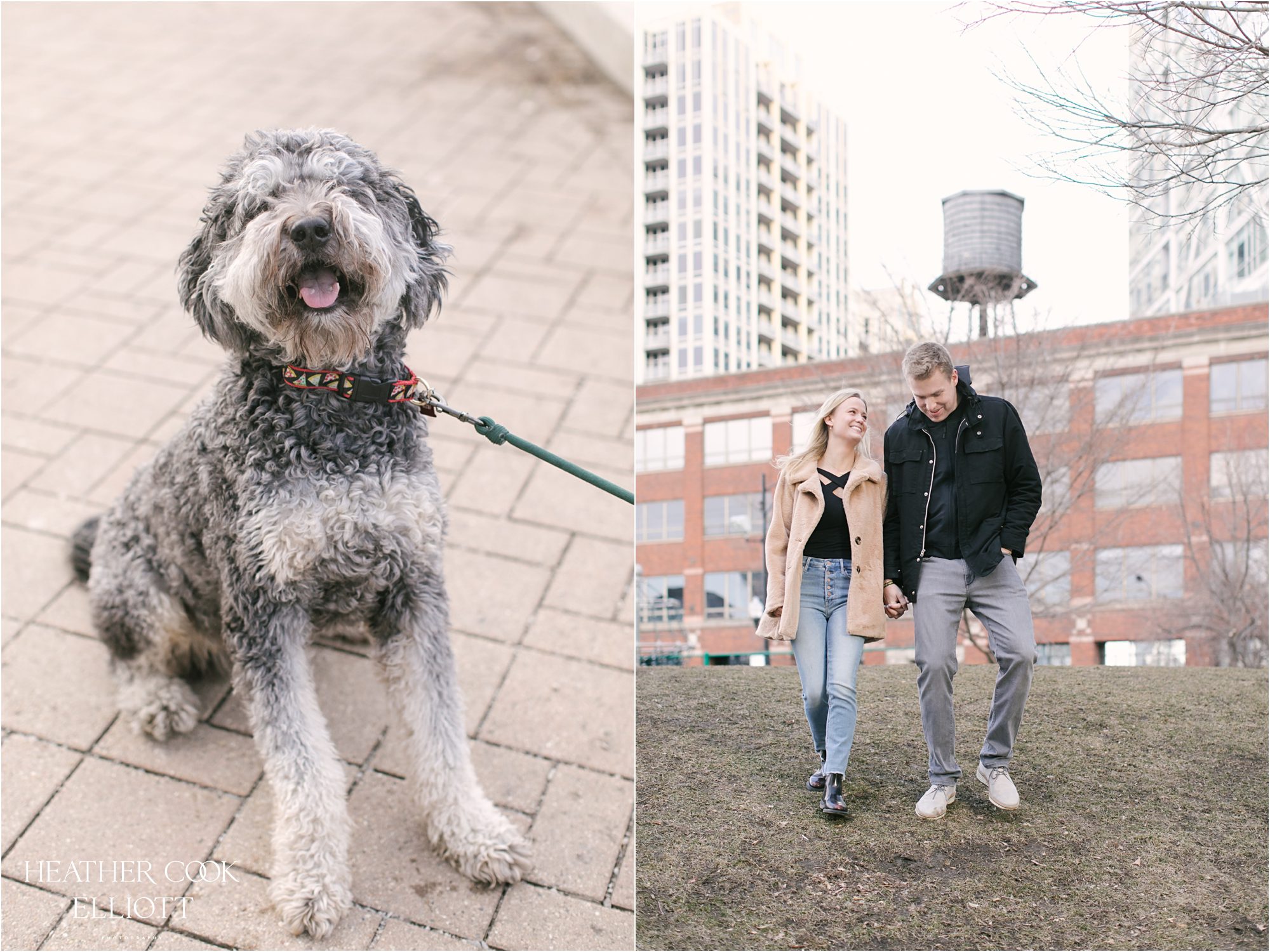chicago engagement session in spring with dog