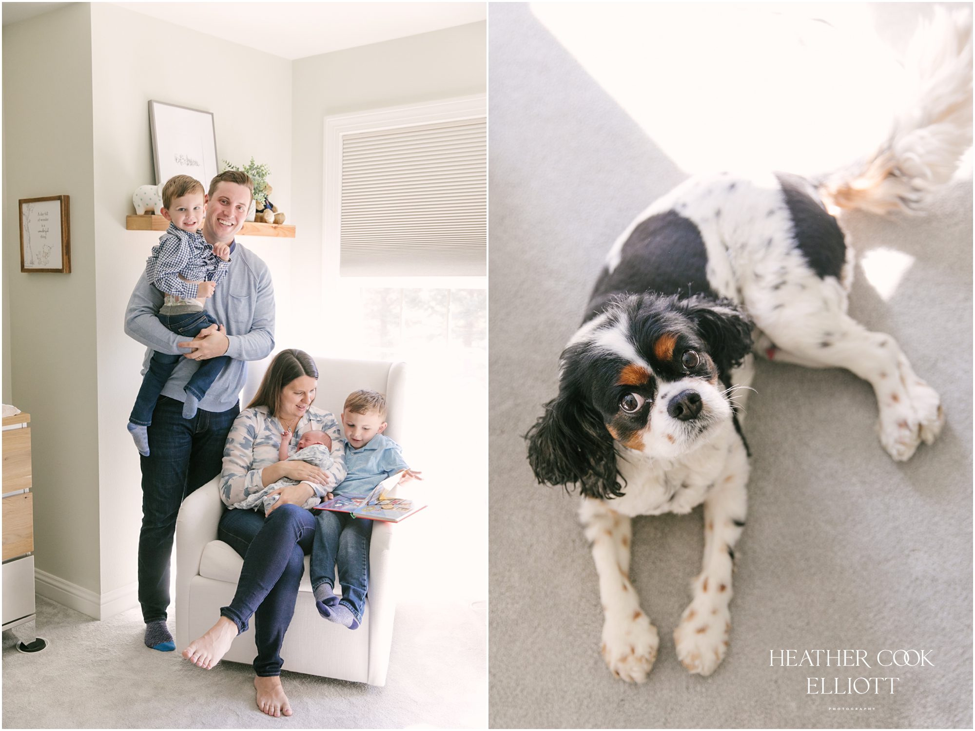 mequon newborn session with light filled nursery design
